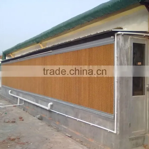 Birdsitter Chicken Farming Automatic Poultry Equipment Suppliers photo-6