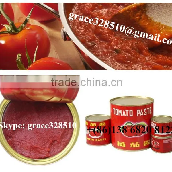 Tomato Puree Machine photo-3