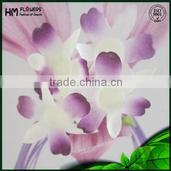 Ornamental Plants Lucy Cat photo-3