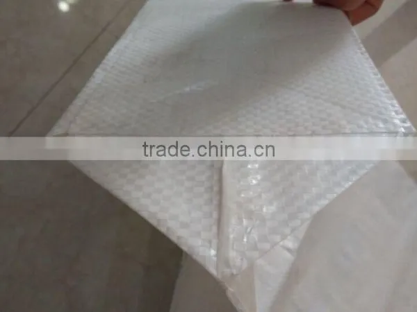 China Supplier Chemical Product Plastic Bag/pp Woven Bag 50kg photo-2