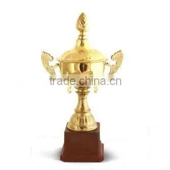 Metal Trophy Cups for Kids