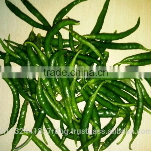 Indian Fresh Long,dark Green and Spicy Green Chilli Exporter photo-4