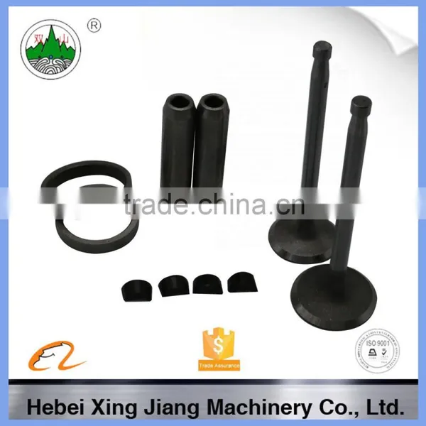 Changchai Single Cylinder Diesel Engine Valve Set for Sale photo-2