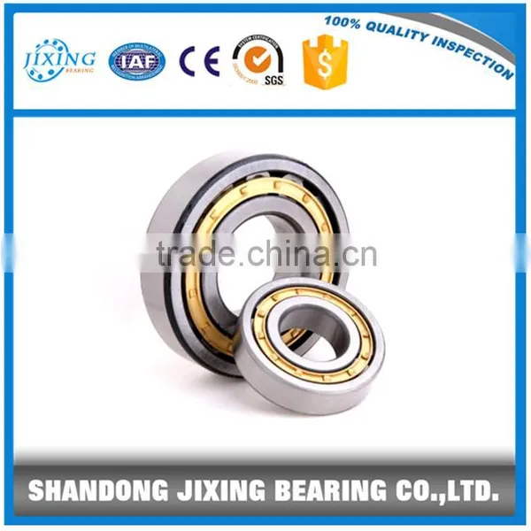 Cylindrical Roller Bearing/ Roller Bearing/ Single Row Cylindrical Roller Bearing