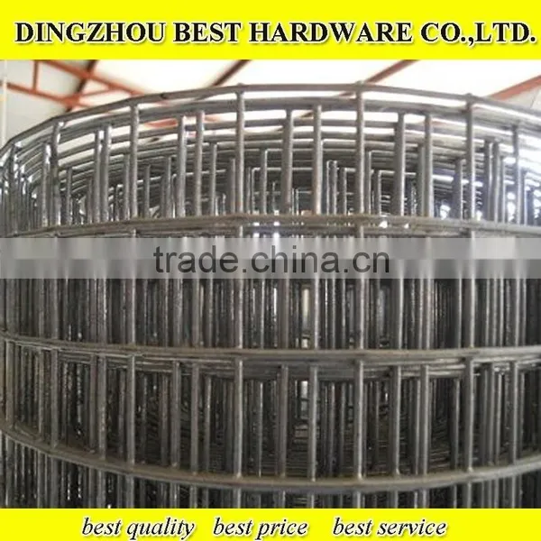 Galvanized Welded Wire Mesh Fence photo-2