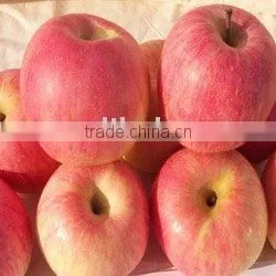 Fuji Apple