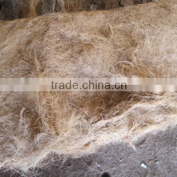 Coconut Fiber High Quality ( QQ: 2598494113) photo-6