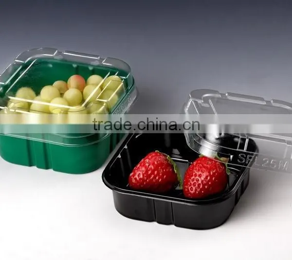 Fruit Tray Thermoforming Machine photo-4