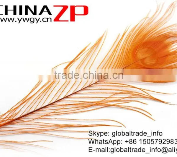 ZPDECOR Crafts Factory Leading Supplier Wholesale Cheap Full Eye Dyed Gold Peacock Tail Feathers photo-5