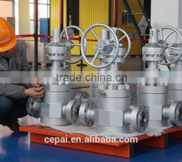Globe Valve/API6A Globe Valve/Forged Gate Valve/Cameron Valve photo-4