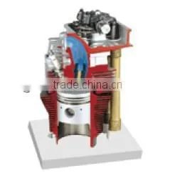 Cylinder and Cylinder Head With Camshaft Dissection Model