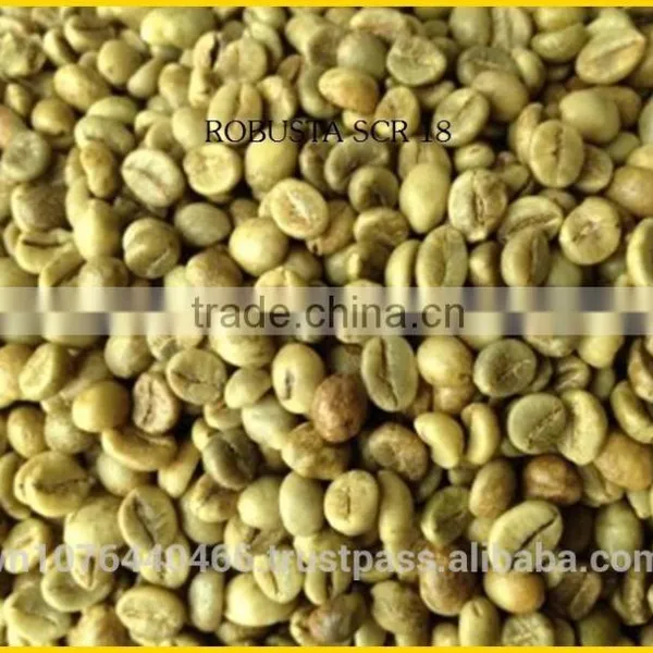ROBUSTA COFFEE/ROBUSTA COFFEE FROM VIETNAM BEST PRICE SEASON 2016 photo-2
