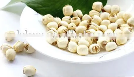 Lotus Seed Powder photo-2