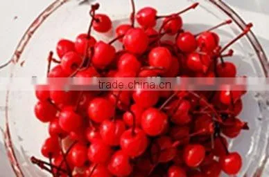 Canned Red and Green Cherry for Decoration photo-3