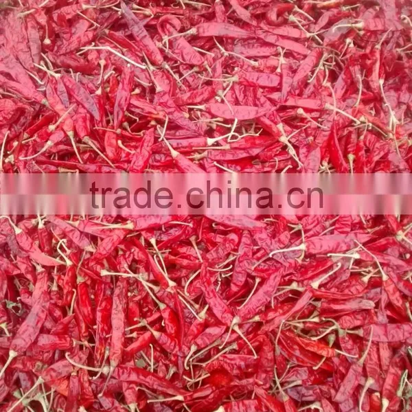 CHILLI PEPPER photo-3