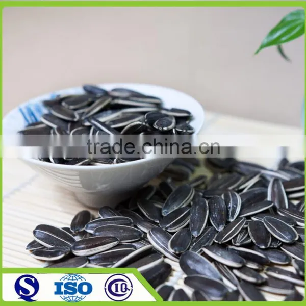 Bulk Raw Shelled Sunflower Seeds