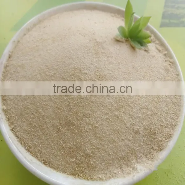 Best Price Amino Acid Chelated Magnesium Powder Used Foliar Ferilizer photo-2