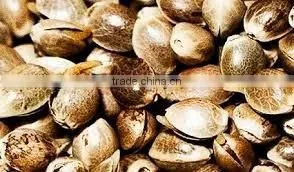 Hemp Seed Oil Aromatherapy Oil photo-2