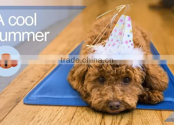 Low Price Cooling Pad for Pet/cooling Gel Mat/adult Bed Mat photo-5