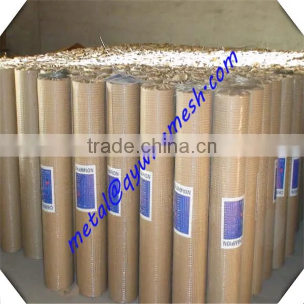 Galvanized 1/4 Inch Galvanized Welded Wire Mesh / Lowest Price Welded Wire Mesh photo-6