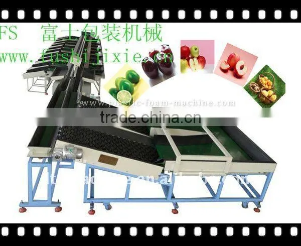 Fruit sorting machine