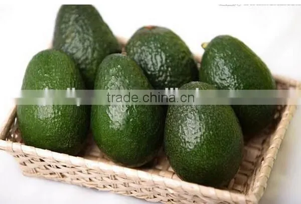 Palm Oil Press/expeller/extruder/extractor/processing Machine photo-6
