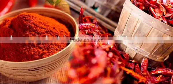 Red Chilli Powder photo-4