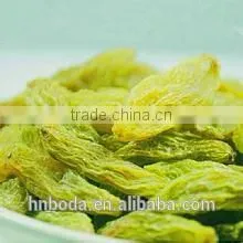 Industrial Drying Oven photo-4