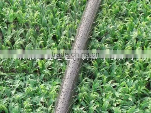 Farm Irrigation Pipe and Fittings photo-3
