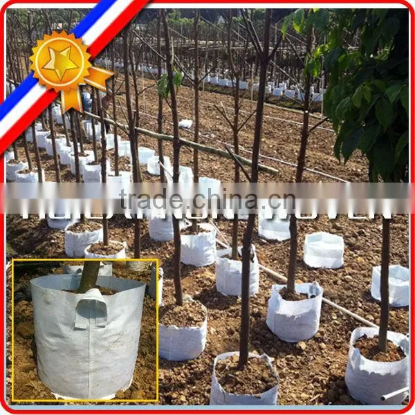 Customized Weight Non Woven Tree and Plant Grow Bag,planting Bags, Tree Planting Bag photo-5