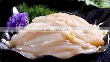White Sea Cucumber Meat photo-2