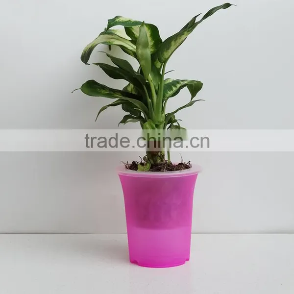 Creative Self Watering Flower Pot , photo-2