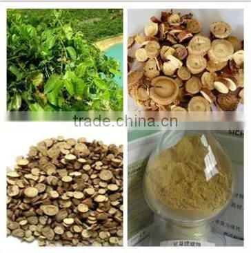 New Licorice Herb Licorice Extract Powder/granule Licoflavone Glycyrrhizic Acid Benefit for Stomach photo-3