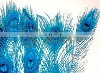 Good Quality With Full Eye Cheap Coloured Peacock Feathers photo-2