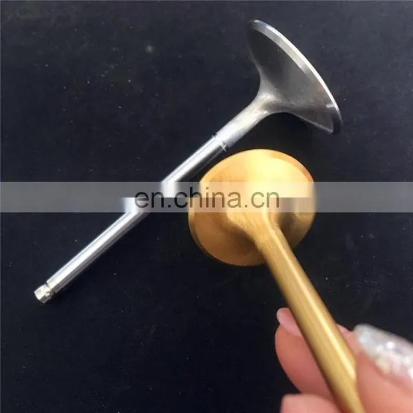 GAS Enigne Valve for MWM Deutz TBD620 V12 TD226b TGG2020 V12 V16 V20 Generator Spare Parts Valve Seats and Guides photo-5