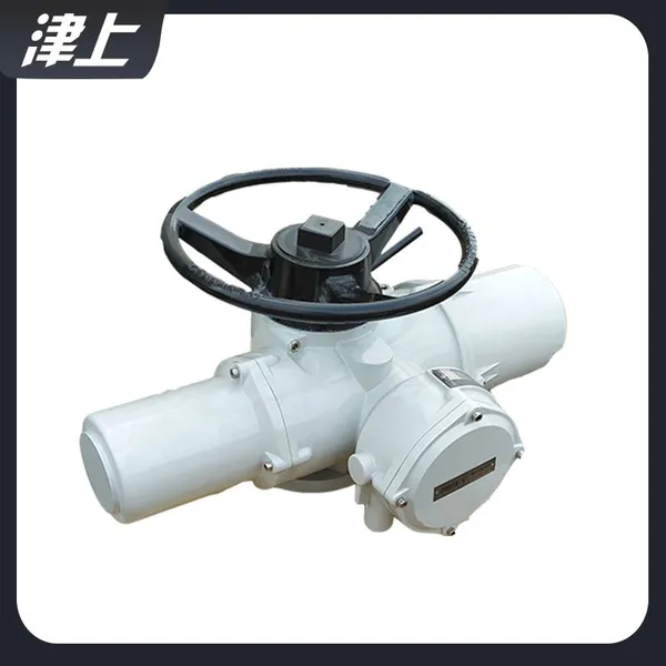 Electric Valve Electric Actuator IQ35 Rotary Electric Actuator photo-5