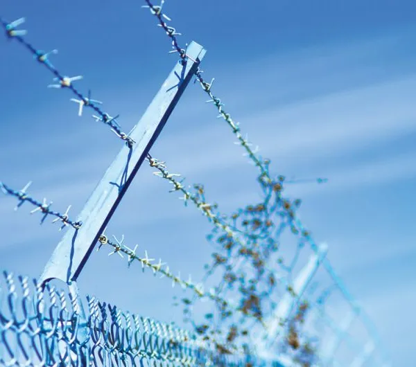 Wholesales Fencing Hot Dipped Galvanized Barbed Wire photo-6