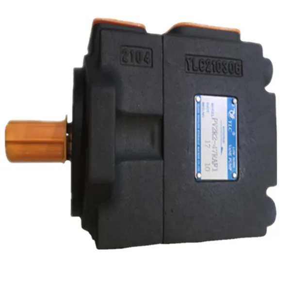 Hot Sell YLC PV2R PV2R1 PV2R2 PV2R3 PV2R12 Series Single Vane Pump PV2R2-41RAF1 PV2R2-19RAF1 Hydraulic Vane Pump photo-5