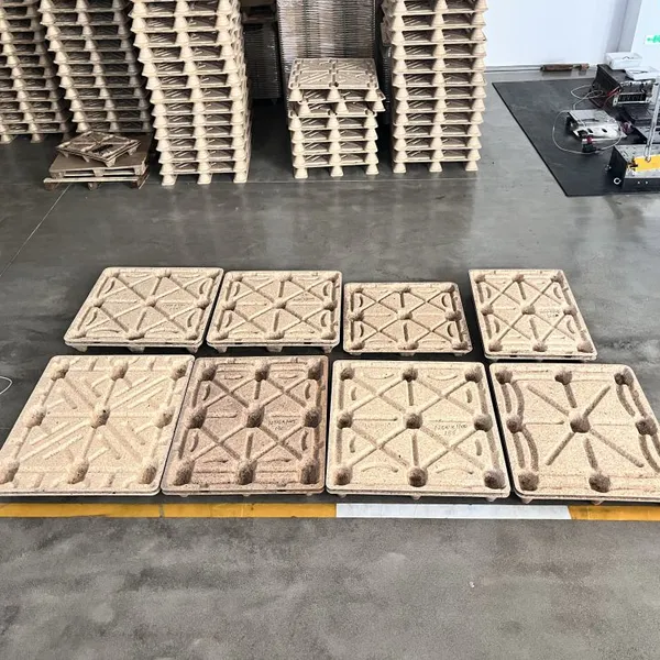 Export-Specific Molded Wood Pallets for International Shipping — Waterproof, Mold-Resistant, Fumigation-Free, and Facilitating Rapid Customs Clearance photo-5