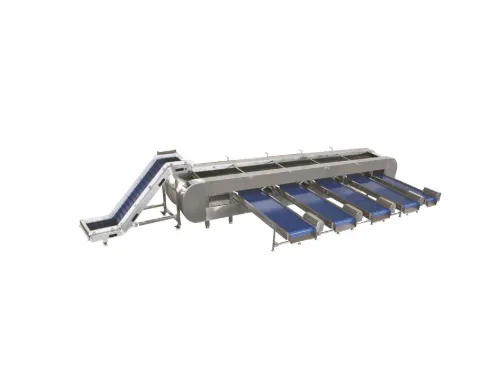 Potato Sorting Machine Fruit and Vegetable Grading Machine3 photo-5