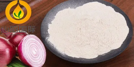 Onion Powder