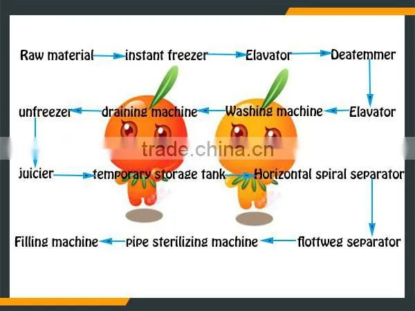 Leader Hot Sales Seabuckthorn Wine Process Line With Website:leaderservice005 photo-6