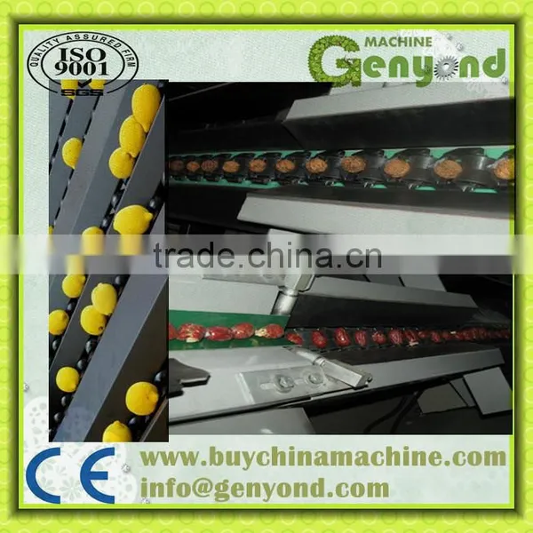 stainless steel small fruit weight sizing machine