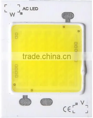50w COB LED 220V AC Led Chip, 3040 50W Integrated Driver for Street Light, photo-2