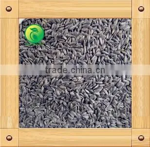 Sunflower Seeds for Birds Small Seed High Oil Content photo-4