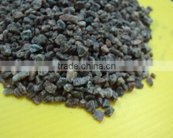 Black Salt Himalayan photo-4