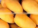 Mango Chaunsa From Pakistan