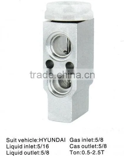 Block Expansion Valve For Hyundai Auto photo-2
