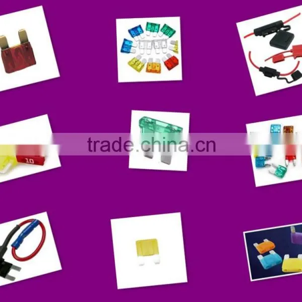 Dong Guang Supplier:1A - 100A Blade Fuse,auto Fuse photo-6