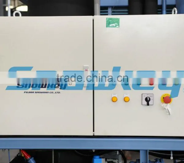 Commercial Machine Hot Sale Ice Tube Machine 3 Tons per Day TIM30AF With Air Condenser for Paraguay photo-4